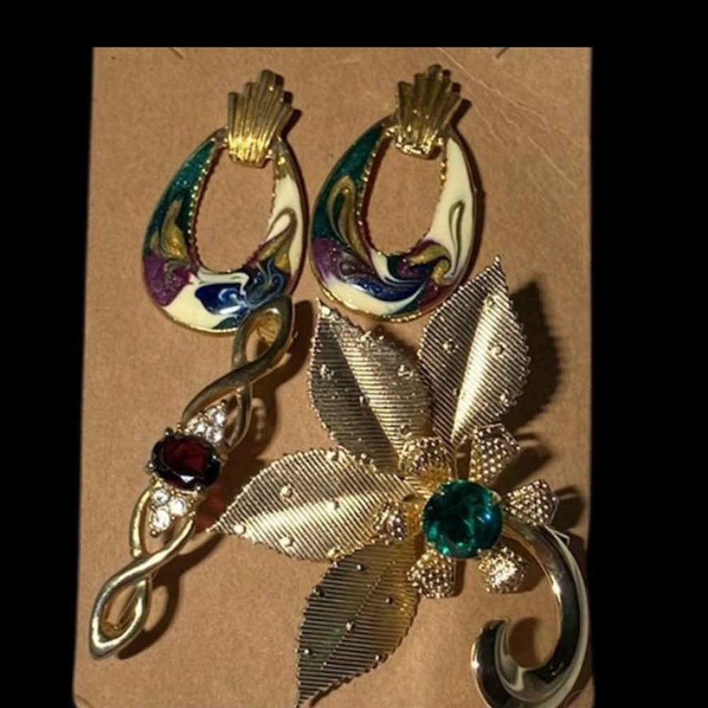 Multicolor Brooch and Earring Set